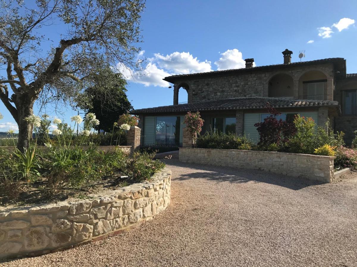 Agriturismo Fattoria Di Monticello San Venanzo Exterior photo