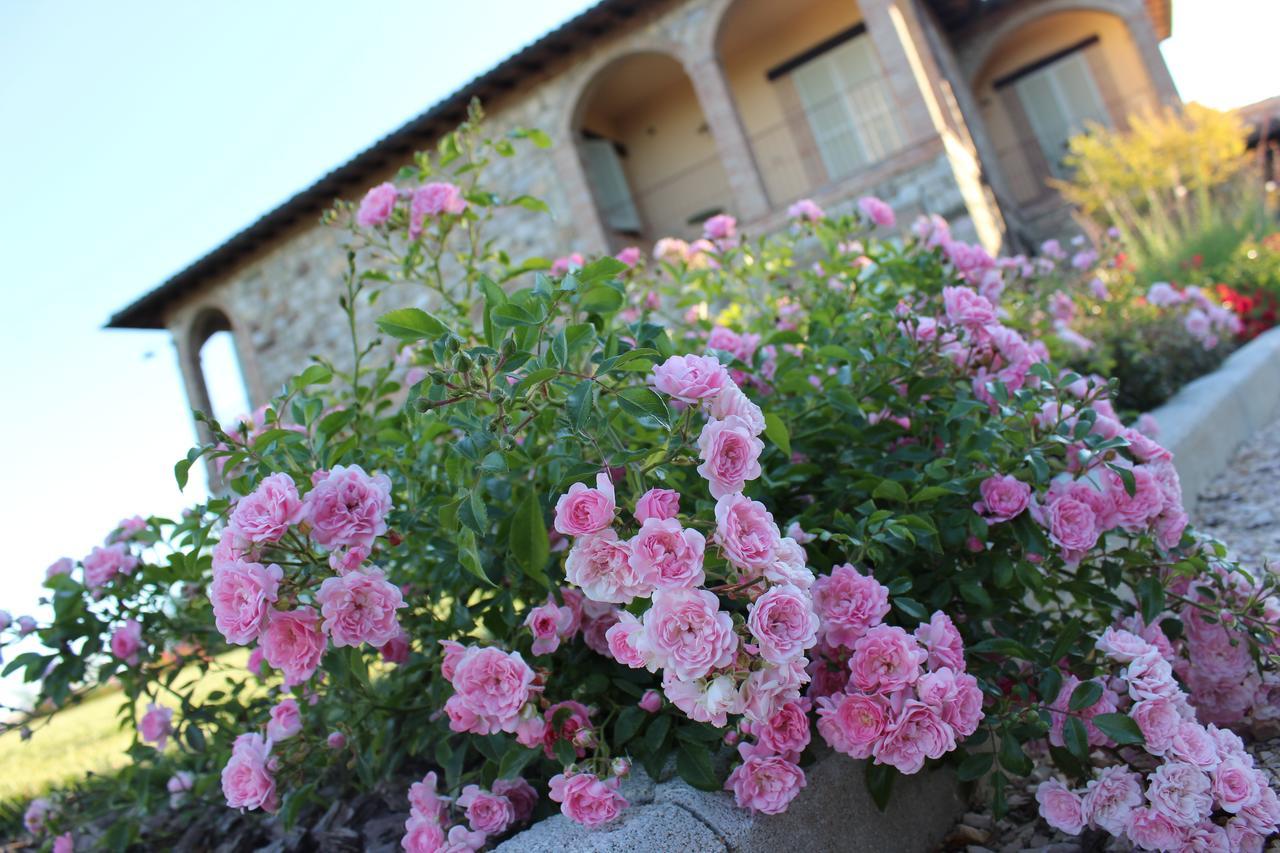 Agriturismo Fattoria Di Monticello San Venanzo Exterior photo